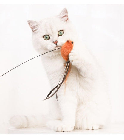 Funny Feather Bird Cat Stick Toy by Stevvex with orange plush teaser wand for kittens on Tampa Home & Garden Store