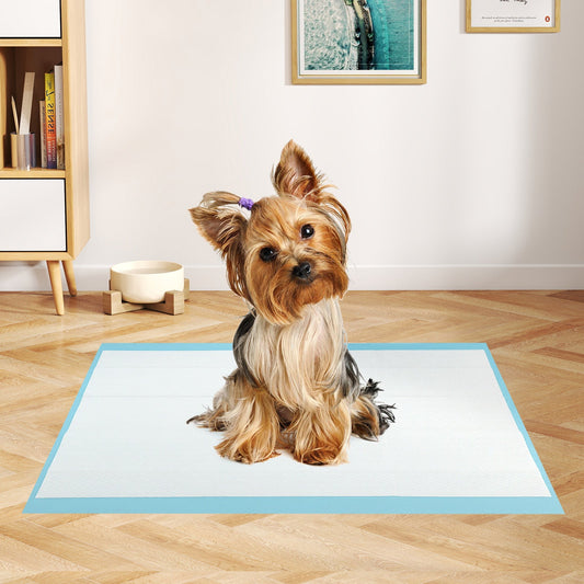 Dog and Puppy Pee Pads 24" x 17" (300 Counts) for Potty Training-Blue - Tampa Home & Garden Store