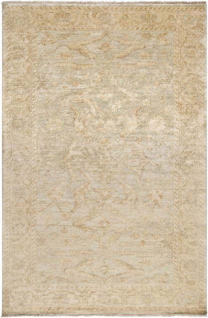 Perrysville Area Rug by Boutique Rugs, beige distressed vintage medallion design on Tampa Home & Garden Store