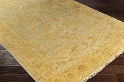 Perrysville Area Rug - Clearance, beige-gold ornate pattern rug by Boutique Rugs on Tampa Home & Garden Store