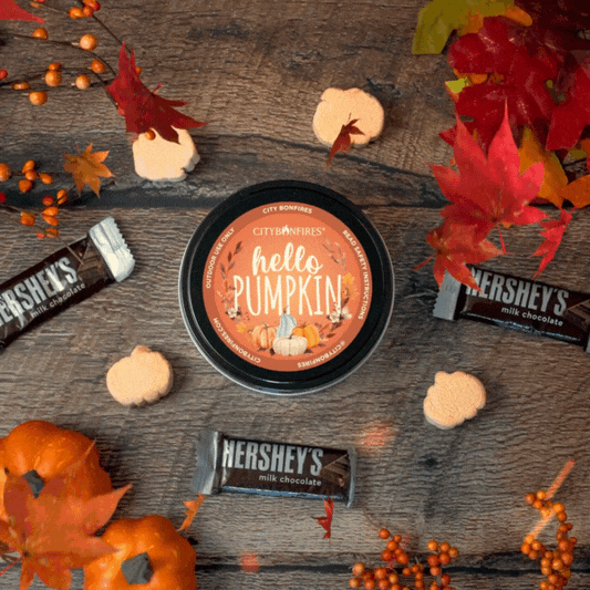 Pumpkin Spice S'mores Night Pack by City Bonfires for outdoor fire pits with Hershey's bars on Tampa Home & Garden Store