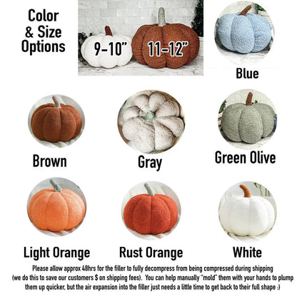 Blair Pumpkin Plush Decorative Pillow For Fall