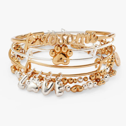 Puppy Love bangles set of 5 bracelets by Alex and Ani in gold and silver with paw charm on Tampa Home & Garden Store