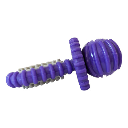 Sucette dentaire en caoutchouc violet pour chien – Nervures, trou pour friandises et conception durable