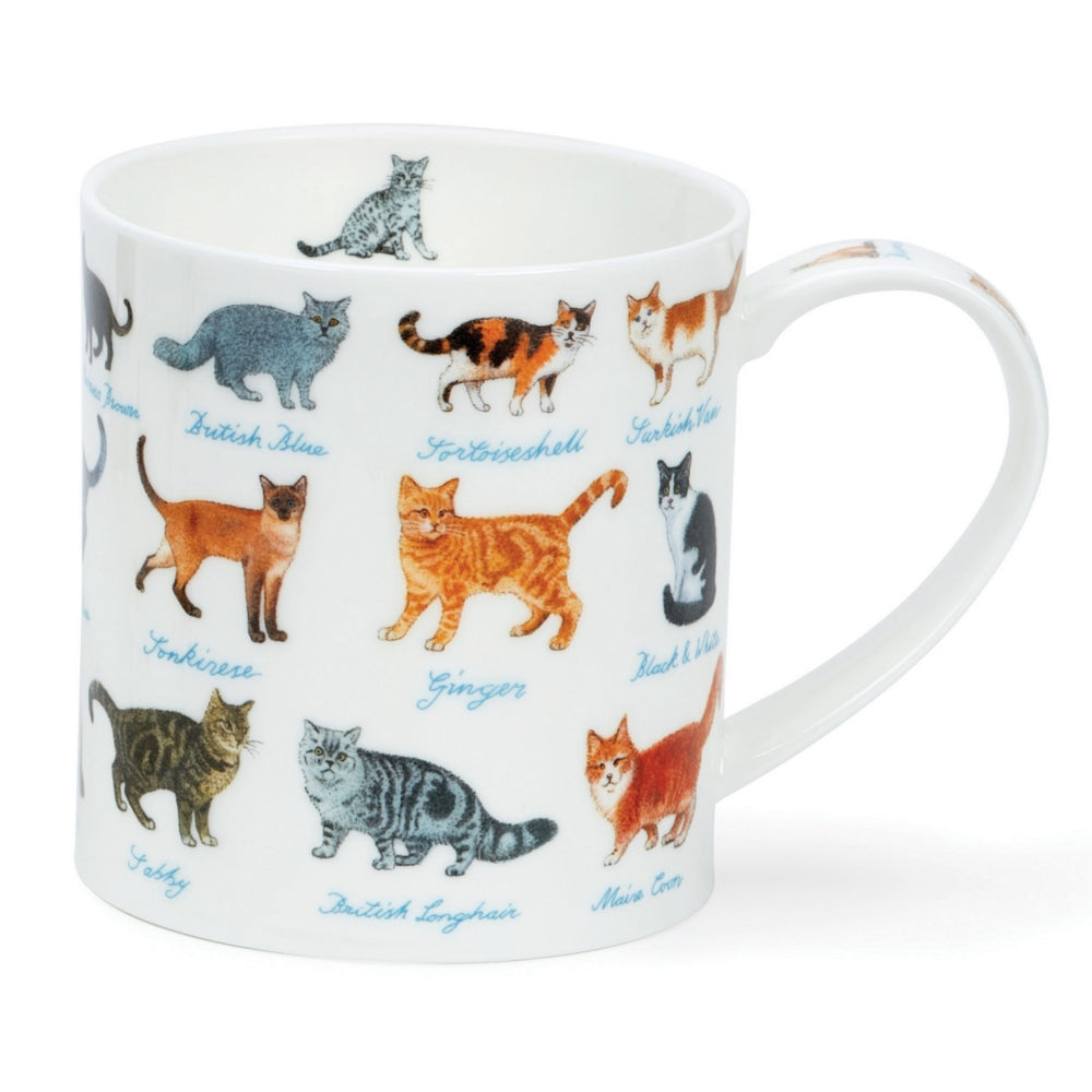 À la ferme - Chats - Mug en porcelaine fine style Ornkey par Dunoon