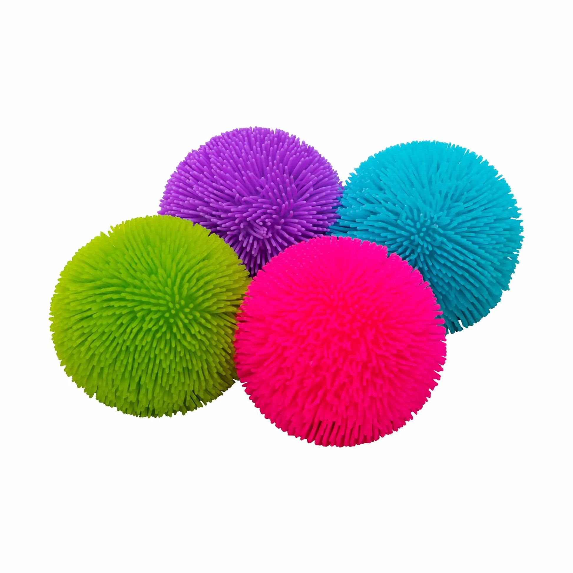 - image on Tampa Home & Garden Store