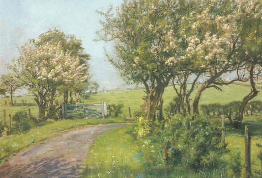 Springtime Blank Greeting Card Blossoming Path spring landscape with blossoming trees on Tampa Home & Garden Store