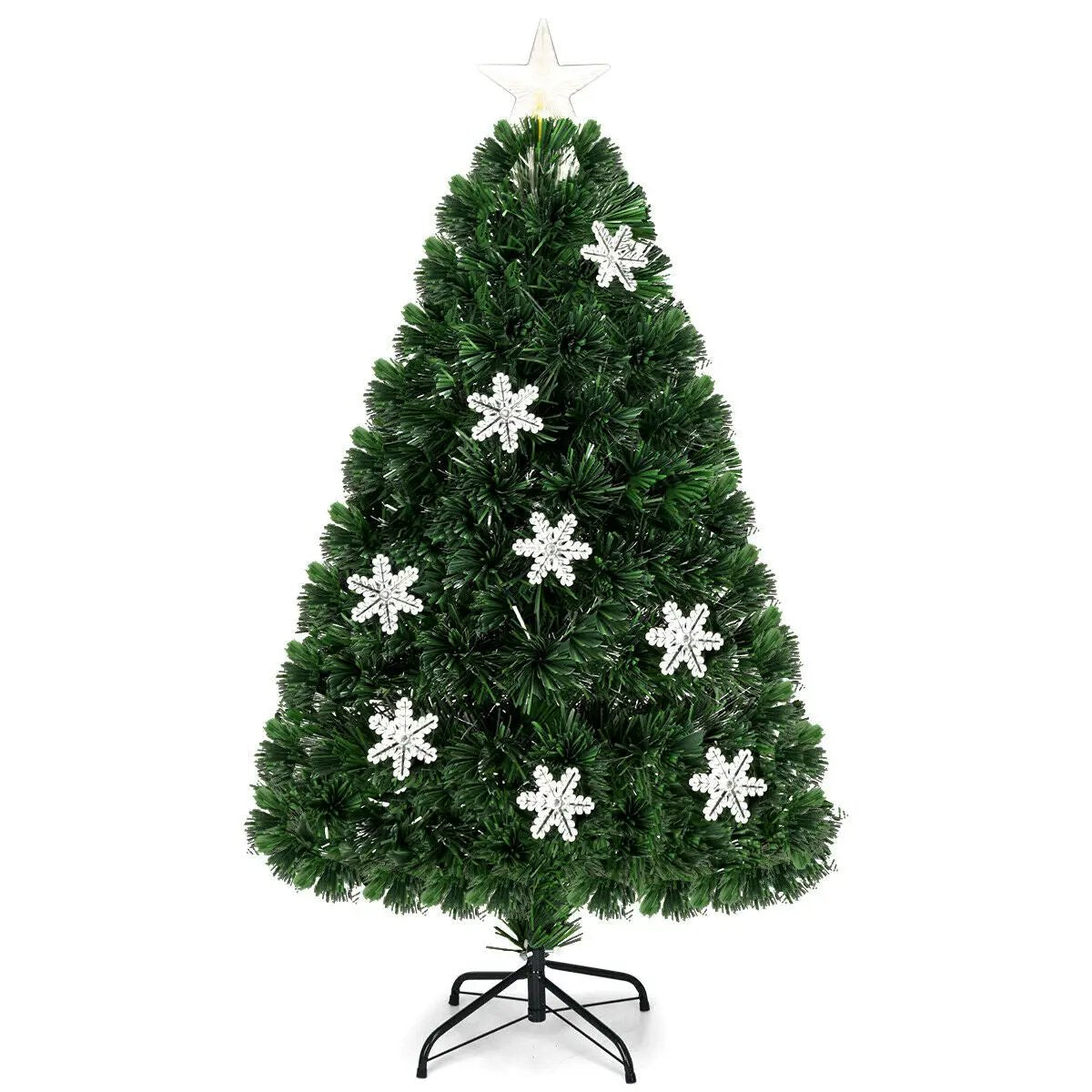 - image on Tampa Home & Garden Store