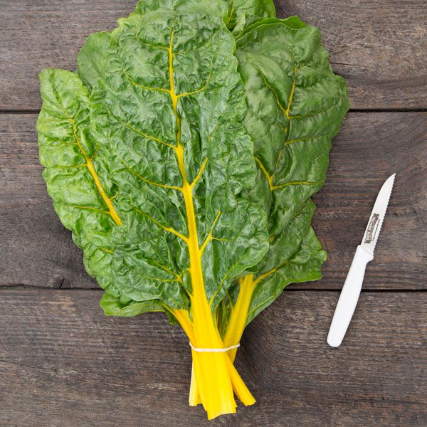 Sunset Chard seeds bundle with green leaves and yellow stems on wood with a knife nearby on Tampa Home & Garden Store