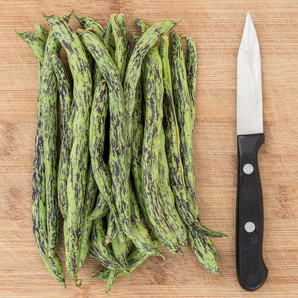 Rattlesnake Pole Bean seeds, green beans with purple speckles on wooden board Seedtime Store on Tampa Home & Garden Store