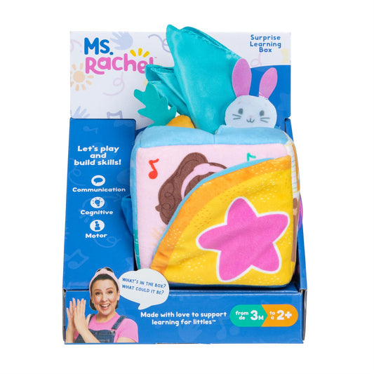 Ms Rachel Surprise Learning Box