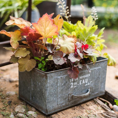 Rectangular iron planter drawer with galvanized gray metal and colorful foliage RusticReach on Tampa Home & Garden Store