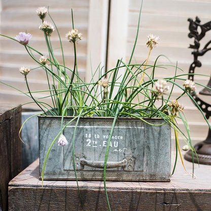 Rectangular iron planter drawer by RusticReach, weathered metal with handles, chive-like plants on Tampa Home & Garden Store