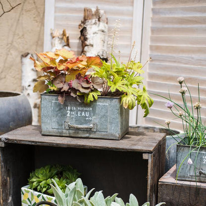 Rectangular iron planter drawer in weathered zinc with lush foliage on a wooden crate on Tampa Home & Garden Store