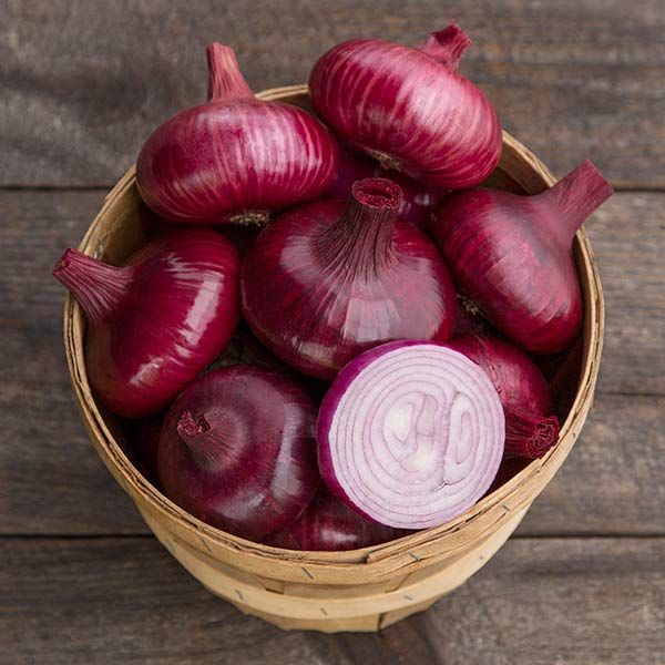 Red Geneva Cipollini onions in a basket; glossy red bulbs, sliced bulb reveals white rings on Tampa Home & Garden Store