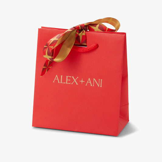 Red gift bag with gold and red patterned ribbon bow ALEX AND ANI branding accessories bag on Tampa Home & Garden Store