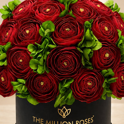 Classic Black Box bouquet of red Persian Buttercups and green hydrangeas by The Million Roses on Tampa Home & Garden Store