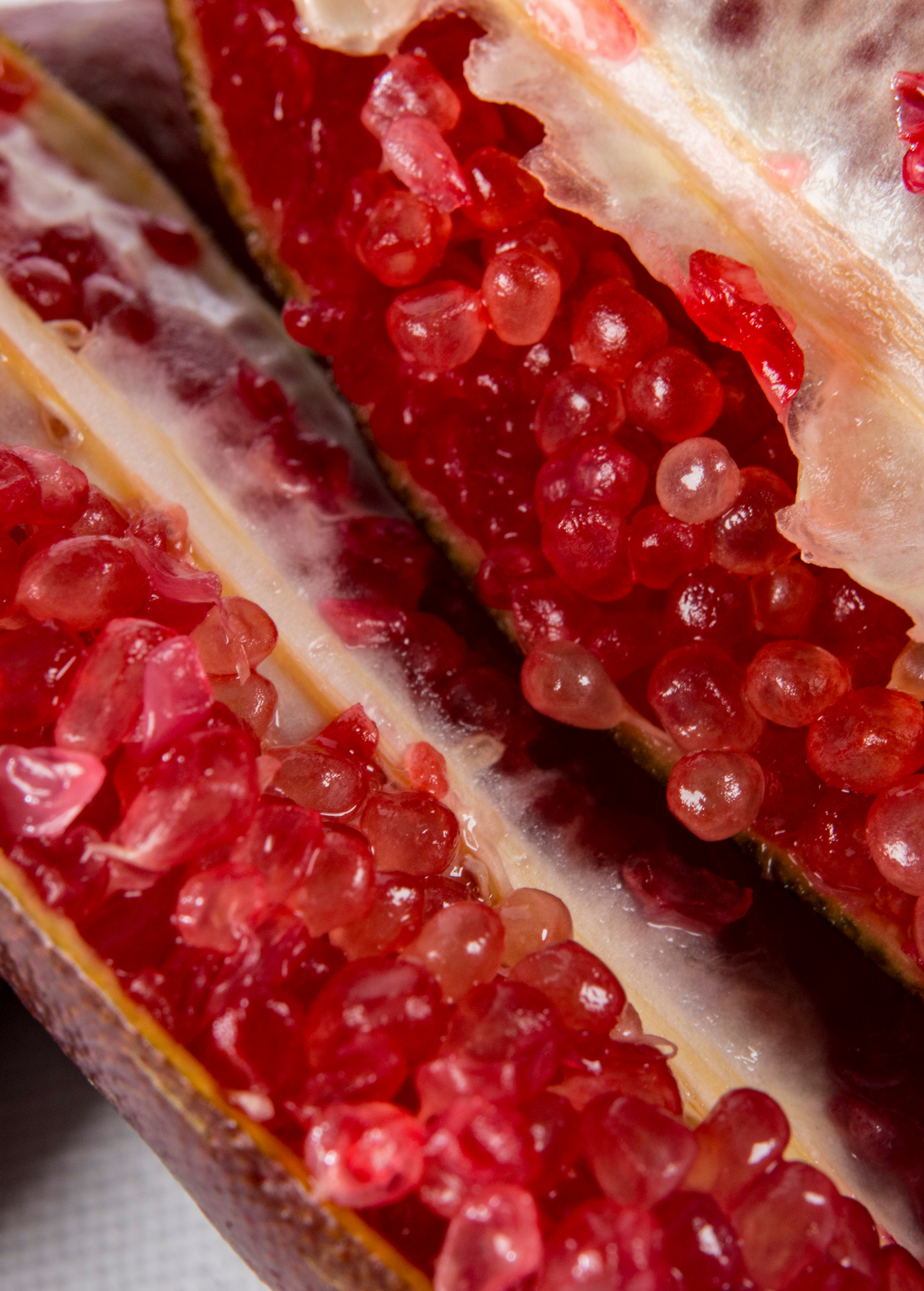 Red Finger Lime Tree (Citrus australasica)