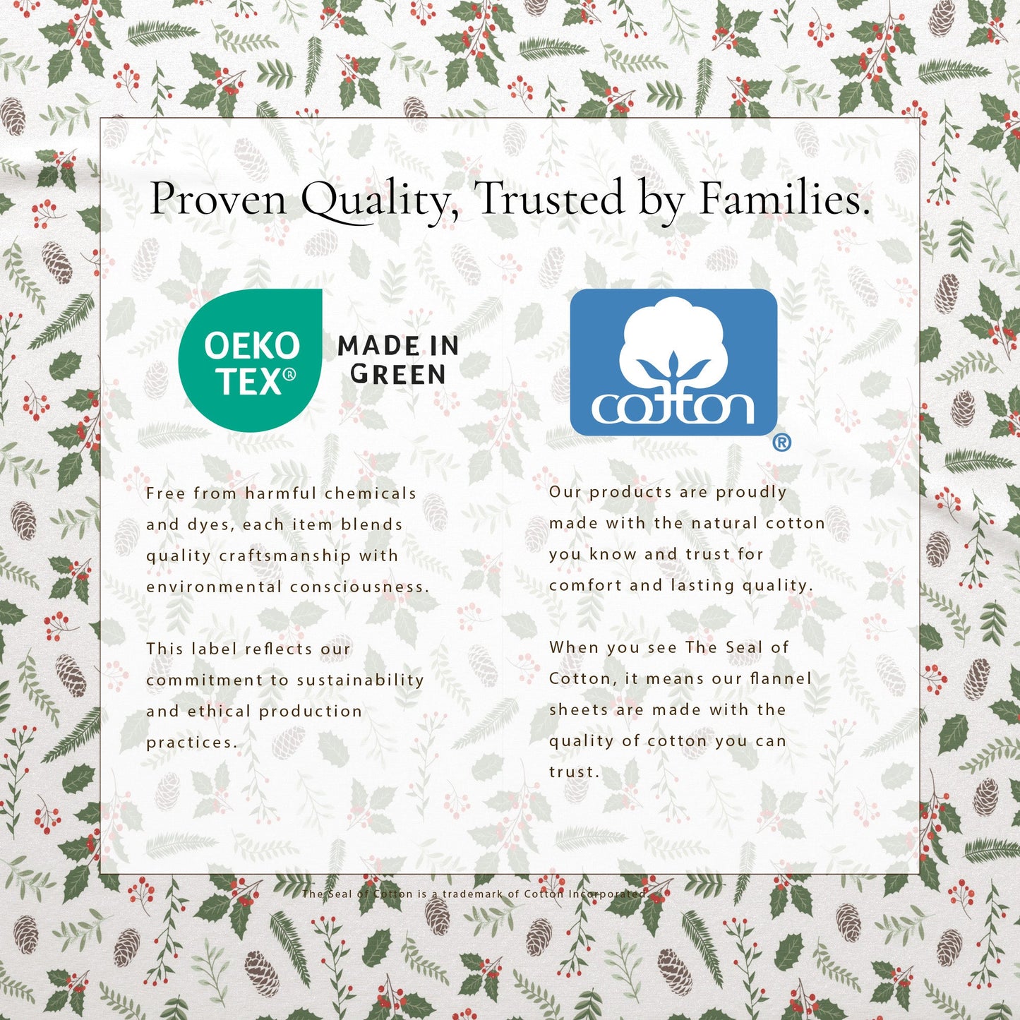 Turkish Cotton And Christmas Flannel Sheet Set