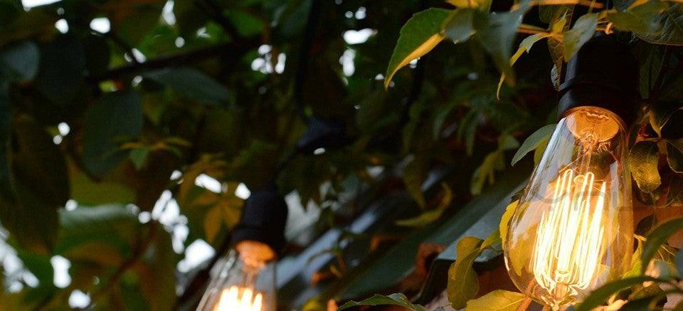 Stevvex retro Edison bulb ST64 filament bulb in warm string lights among greenery on Tampa Home & Garden Store