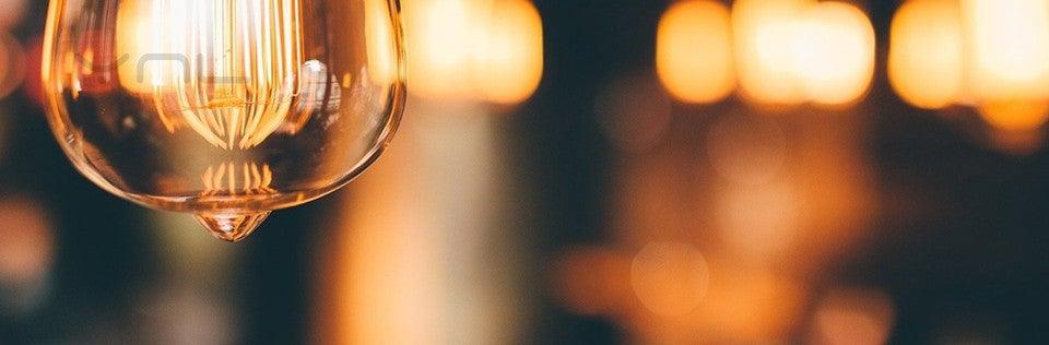 Stevvex Edison-style bulb, clear glass with visible filament, warm glow on Tampa Home & Garden Store