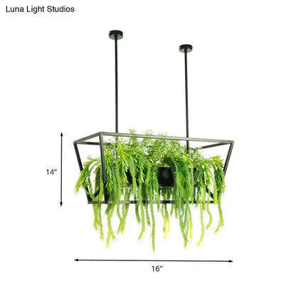 Retro black metal ceiling light planter for dining room with cascading ferns, 16x14 on Tampa Home & Garden Store