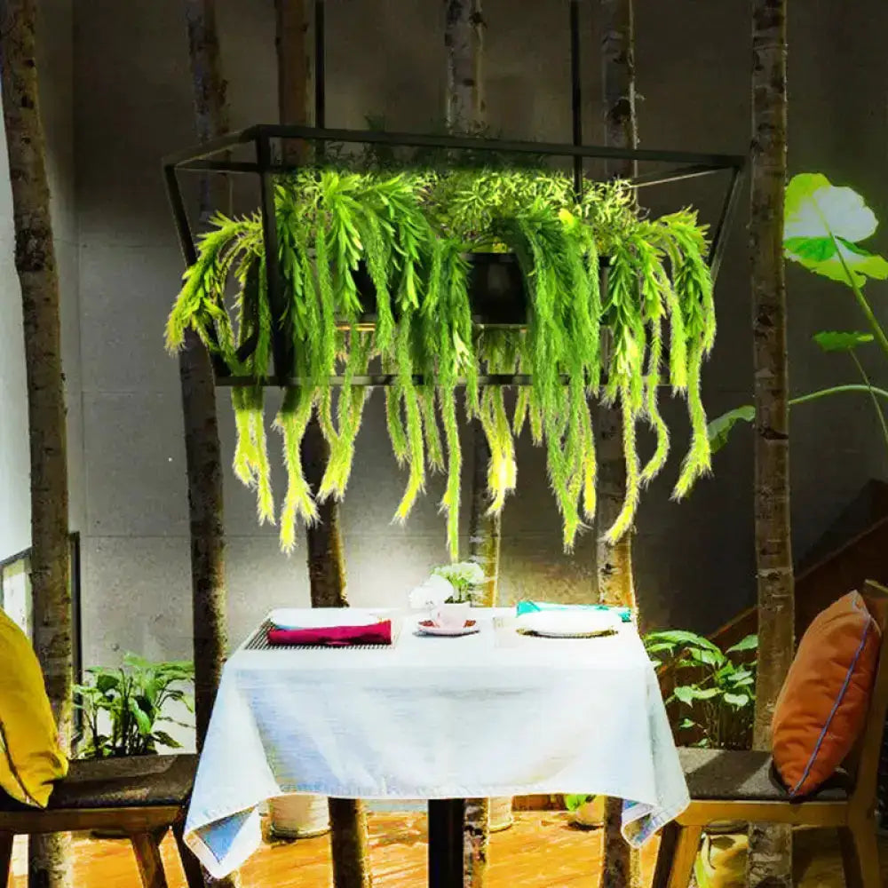 Retro metal black ceiling light planter by Decorbites with lush ferns on Tampa Home & Garden Store