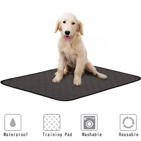 Stevvex reusable dog pee pads on black waterproof training mat for pets on Tampa Home & Garden Store