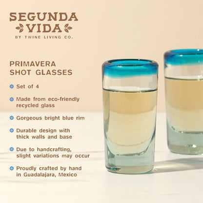 Segunda Vida Tequila and Shot Glasses Set of Four
