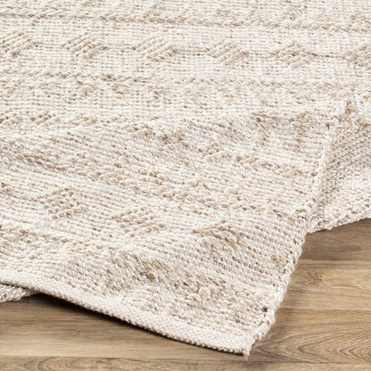 Argonne Area Rug by Boutique Rugs, beige woven loop texture, clearance on Tampa Home & Garden Store