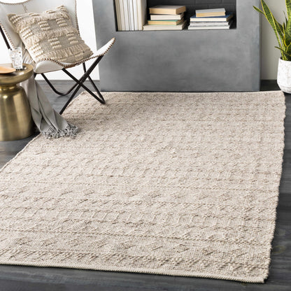 Hand Woven and Contemporary Argonne Area Rug