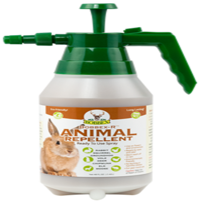 Bobbex Rodent Repellent Ready-to-Use liquid spray, green trigger, Rivendell Distribution on Tampa Home & Garden Store