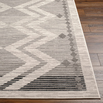 Rory Area Rug by Boutique Rugs, gray distressed abstract pattern with border on wood floor on Tampa Home & Garden Store