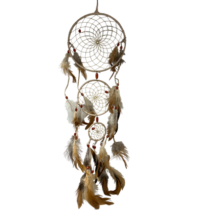 - image on Tampa Home & Garden Store