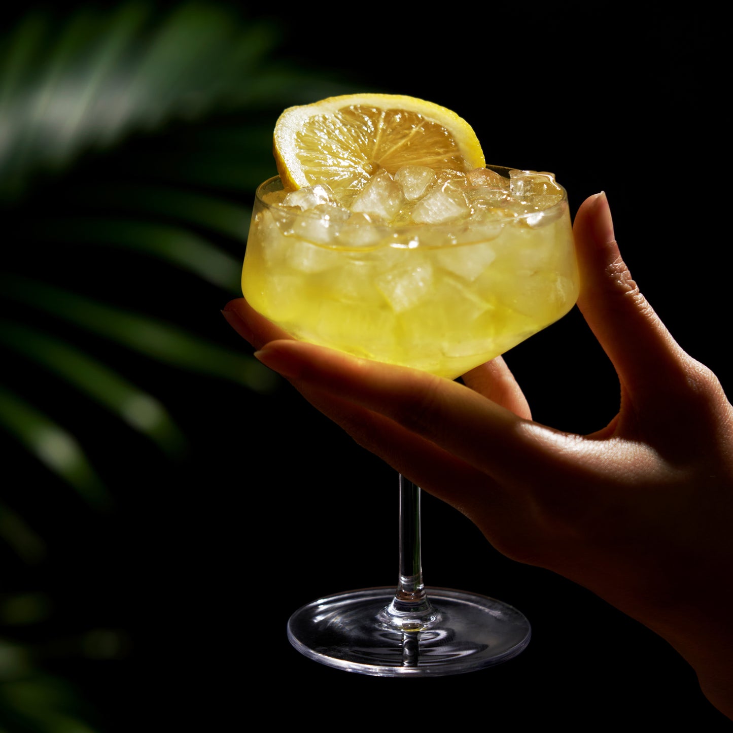 Raye Angled Crystal Coupes And Drinking Glasses