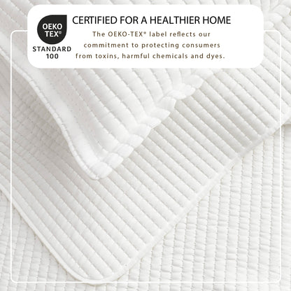 the Alicia Solid Quilt and Classic Stitch Set