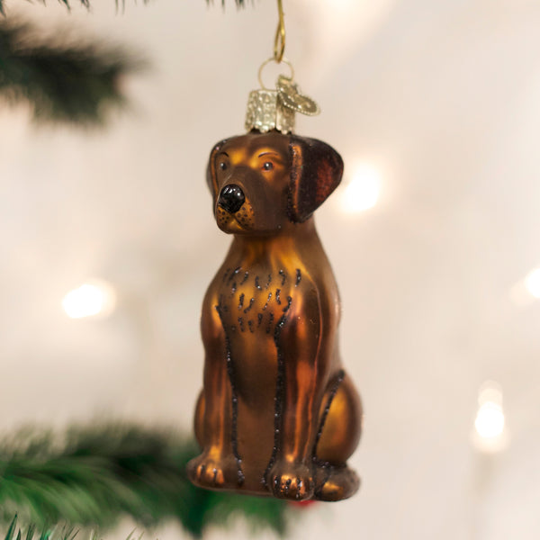 Adorno de cristal con forma de labrador de chocolate