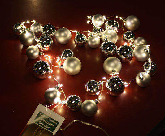 Guirlande lumineuse de 147 cm (58 po) - Argent
