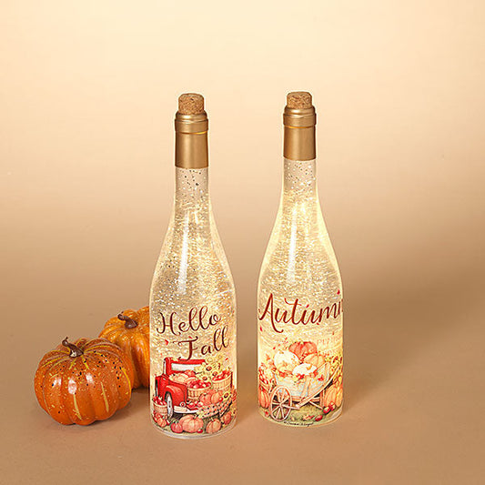 Lighted Spinning Water Globe Bottle -