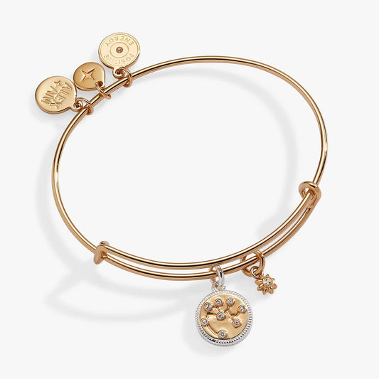 Sagittarius Zodiac Charm Bangle by ALEX AND ANI, rose gold-tone bracelet with charms on Tampa Home & Garden Store