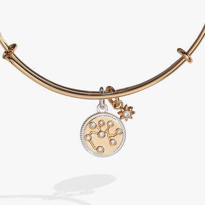 Sagittarius zodiac charm bangle by ALEX AND ANI in rose gold with crystal pendant on Tampa Home & Garden Store