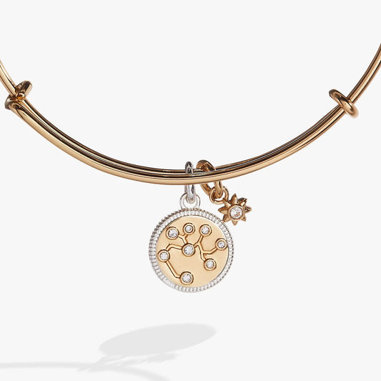 Sagittarius zodiac charm bangle by ALEX AND ANI in rose gold with crystal pendant on Tampa Home & Garden Store