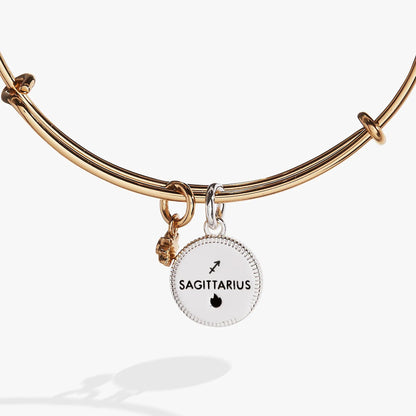 Sagittarius zodiac charm bangle in rose gold with circular pendant bearing the SAGITTARIUS symbol on Tampa Home & Garden Store