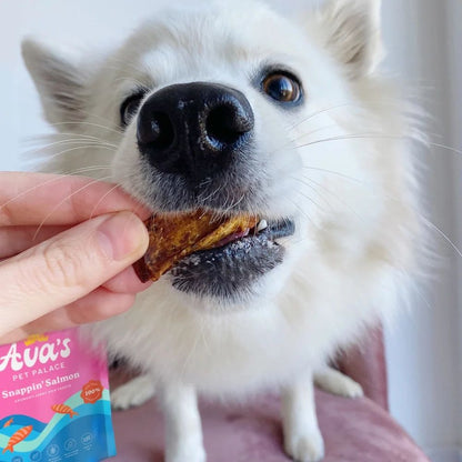 Ava's Pet Palace Snappin' Salmon crunchy jerky dog treats 4 oz by American Pet Supplies on Tampa Home & Garden Store