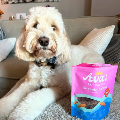 Ava's Pet Palace Snappin' Salmon crunchy jerky dog treats bag 4 oz beside fluffy dog on sofa on Tampa Home & Garden Store