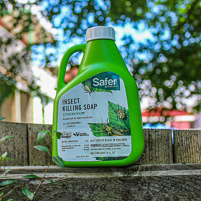 Safer Brand insect killing soap concentrate in a green plastic bottle with handle on Tampa Home & Garden Store