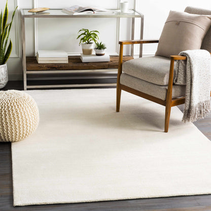 Sabinsville Carpet Clearance rug by Boutique Rugs in creamy beige plush for living room on Tampa Home & Garden Store