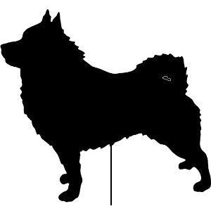 Schipperke garden stake or wall hanging in solid black metal from Rustica Ornamentals on Tampa Home & Garden Store