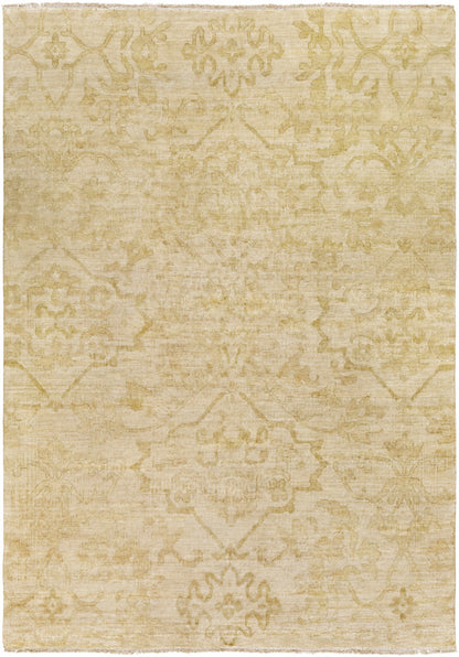 Rugs Schererville Area Carpet - Clearance beige distressed oriental pattern Boutique Rugs on Tampa Home & Garden Store