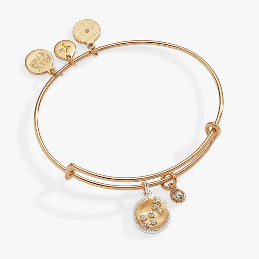 Alex and Ani Scorpio Zodiac Charm Bangle in rose gold with star-cut heart charm and crystal-embellished discs on Tampa Home & Garden Store